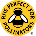 pfp-logo-gold